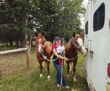 BARREL RACING TRAINING, TUNE UP, CONDITIONING - Photo 7