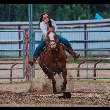 BARREL RACING TRAINING, TUNE UP, CONDITIONING - Photo 9
