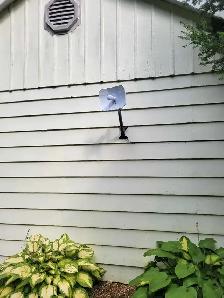 Starlink Installs & Repair - Photo 7