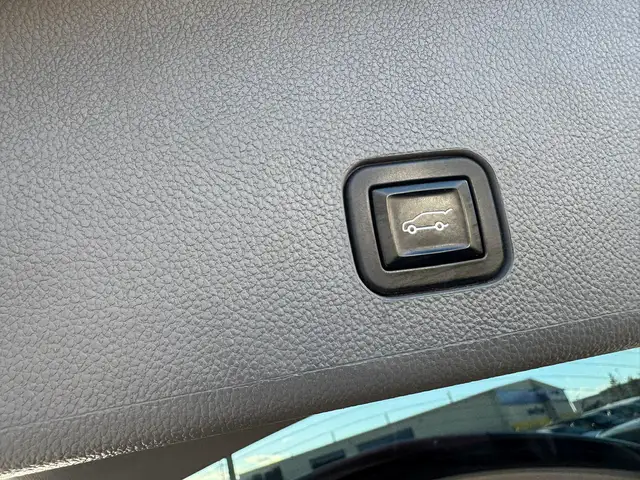 2010 Cadillac SRX Luxury - Photo 4