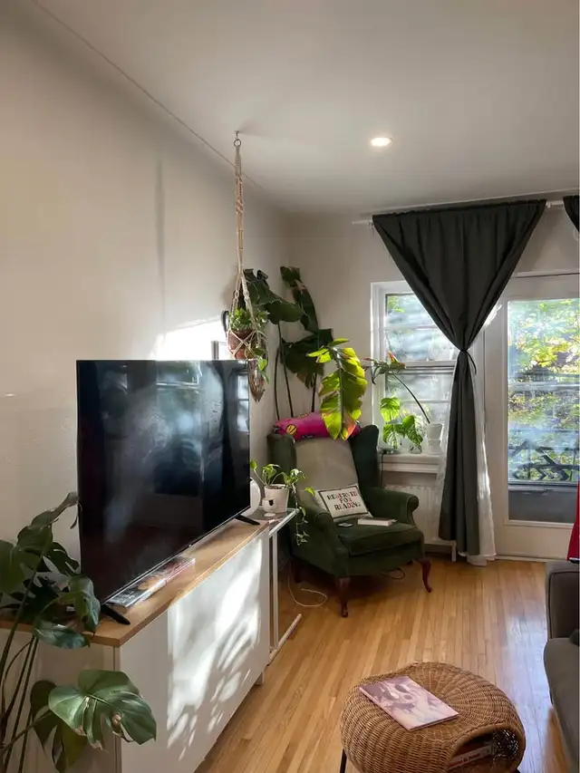 1 Bed 1 Bath - Apartment (1 month free / 1 mois gratuit)