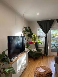 1 Bed 1 Bath - Apartment (1 month free / 1 mois gratuit)