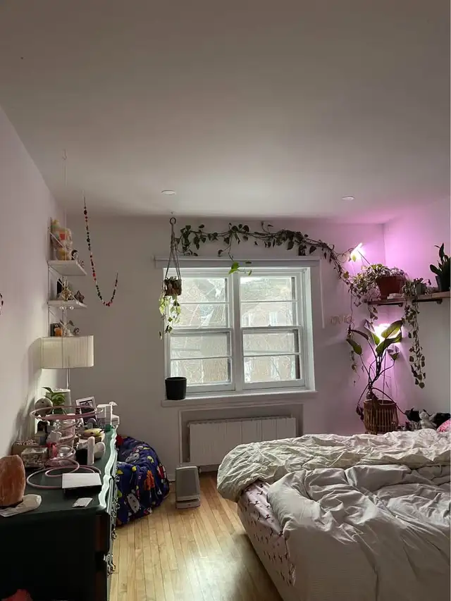 1 Bed 1 Bath - Apartment (1 month free / 1 mois gratuit) - Photo 2