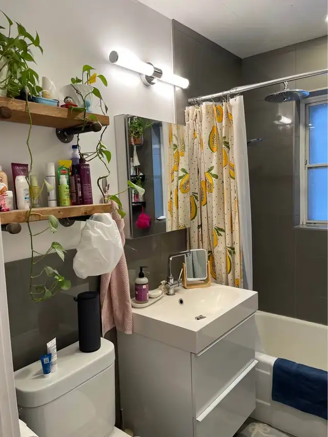 1 Bed 1 Bath - Apartment (1 month free / 1 mois gratuit) - Photo 4