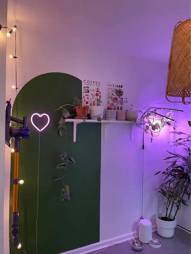 1 Bed 1 Bath - Apartment (1 month free / 1 mois gratuit) - Photo 7