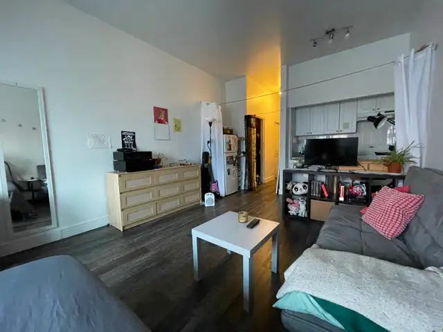 Studio lease transfer - little italy (st laurent & beaubien) - Photo 2