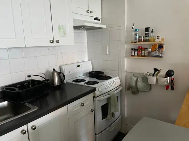 Studio lease transfer - little italy (st laurent & beaubien) - Photo 3