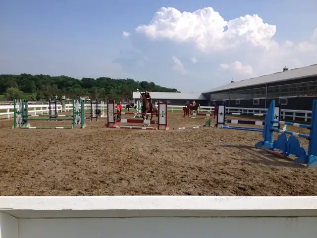 Limited Stalls Available at Grass Stable. Newmarket/King - Photo 2