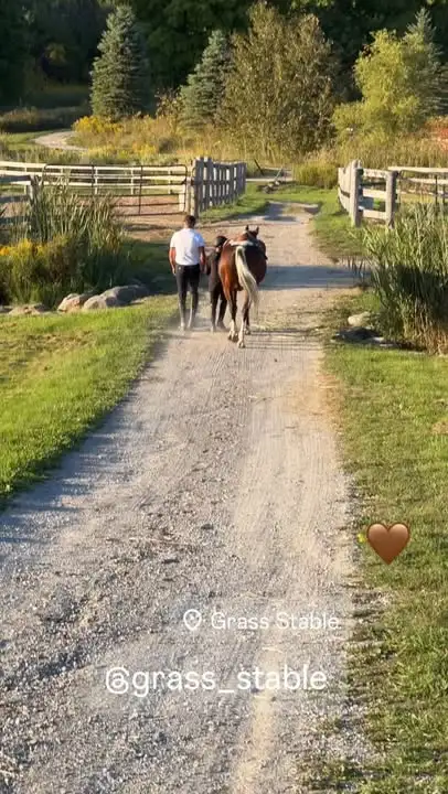 Limited Stalls Available at Grass Stable. Newmarket/King - Photo 3