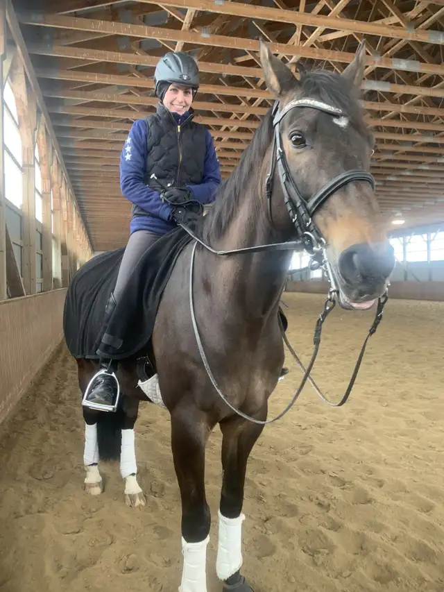 Limited Stalls Available at Grass Stable. Newmarket/King - Photo 4