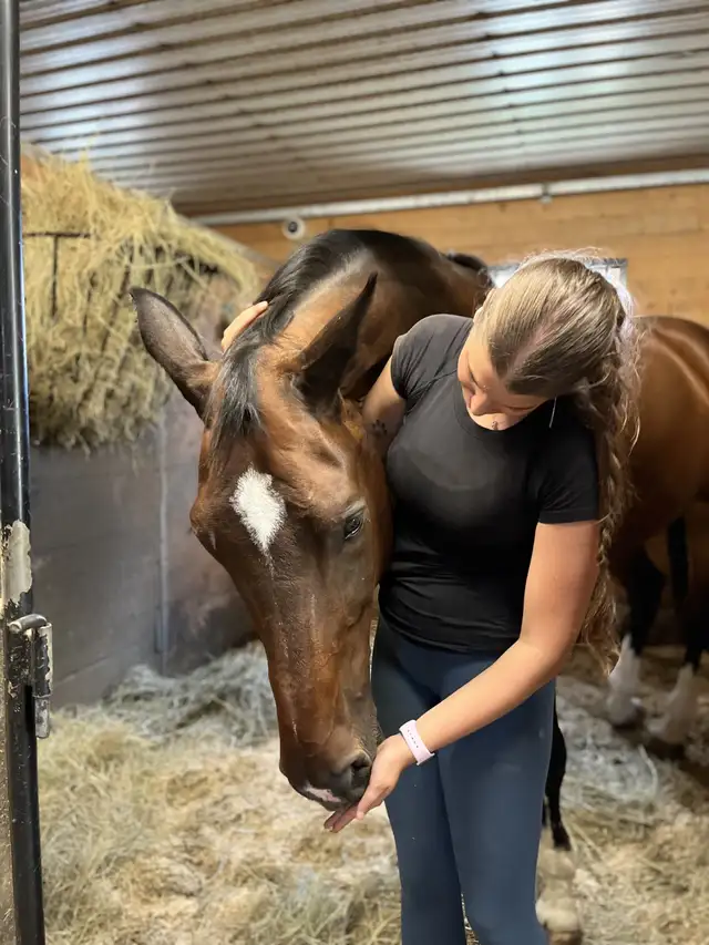 Limited Stalls Available at Grass Stable. Newmarket/King - Photo 5