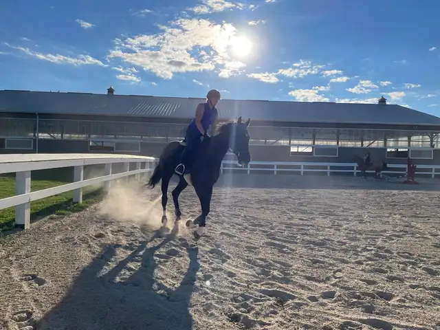 Limited Stalls Available at Grass Stable. Newmarket/King - Photo 7