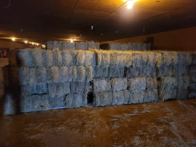 SMALL SQUARE HAY BALES FOR SALE