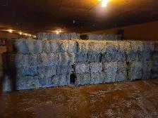 SMALL SQUARE HAY BALES FOR SALE