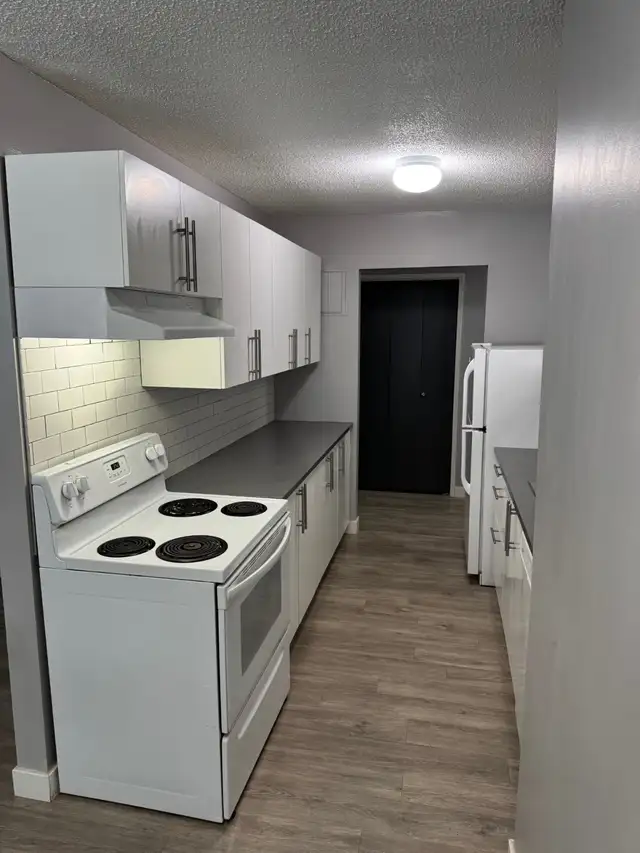 One-Bedroom Apartment Suite in St Vital for Rent April 1st - Photo 3