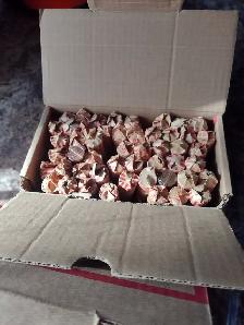 Your choice 2 boxes of pennies unsearched Canadian and American - Photo 2