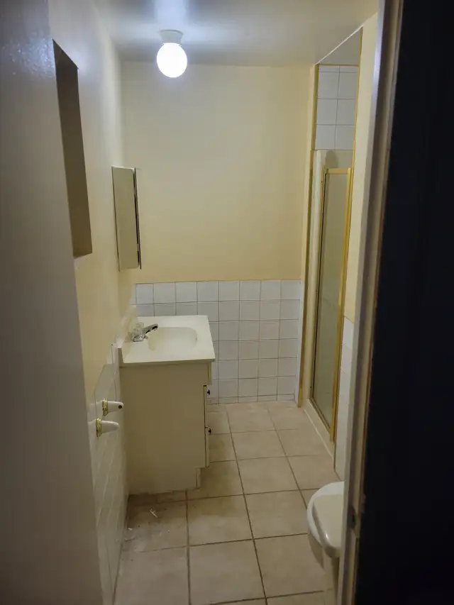 Handyman/Homme a tout faire - Ces simple ont fait tous !! - Photo 6