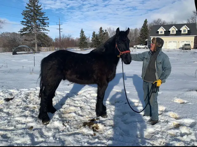 Black Draft Team - Photo 2