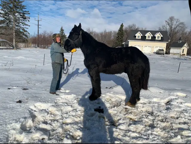 Black Draft Team - Photo 3