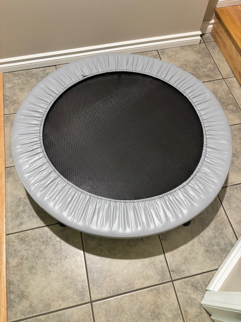 Mini Fitness Trampoline