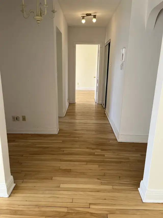 SPACIOUS 3.5 HEATED STEPS FROM UdeM,METRO'S..... - Photo 2