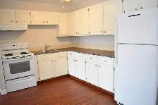 SPACIOUS – RENOVATED – PET FRIENDLY - Photo 3