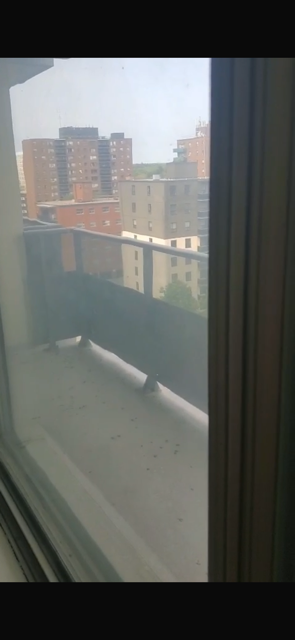 Near Port credit go  station single room for rent - Photo 10