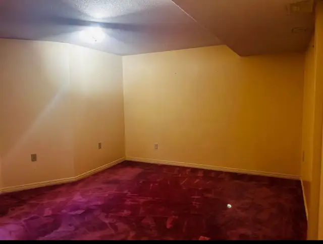 legal basement for rent - Photo 3