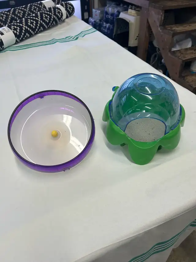 chinchillas avec cage - Photo 7