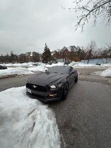 Mustang Eco boost