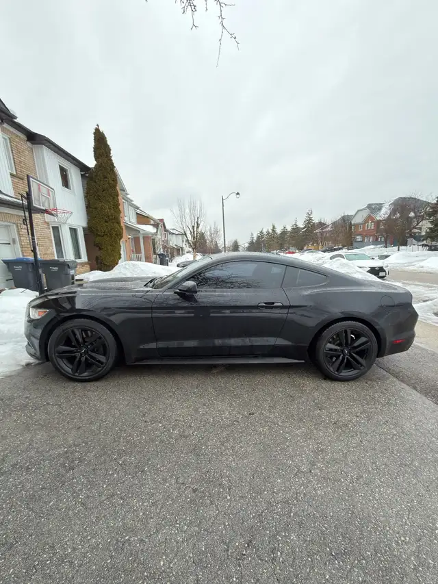 Mustang Eco boost - Photo 2