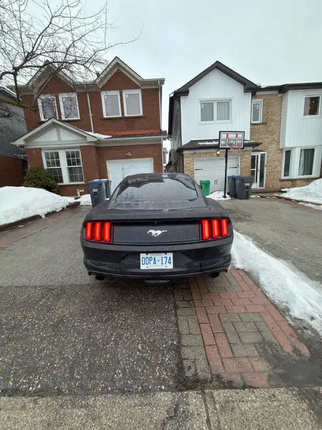 Mustang Eco boost - Photo 4