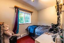 Cozy 1-Bedroom Cottage in Quiet Uphill – Steps to Parks & Trails - Photo 4