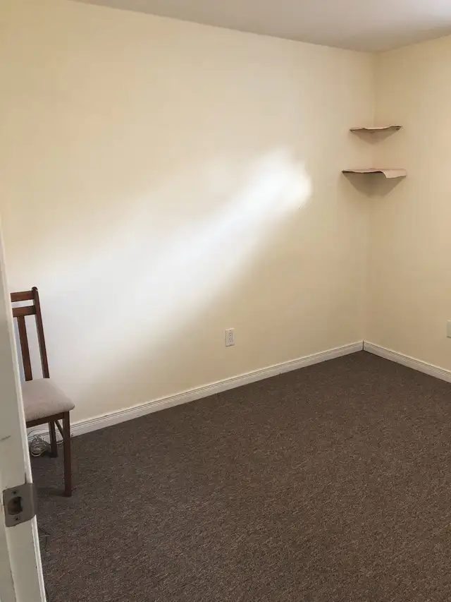 One-Bedroom Private Basement Apartment with Separate Entrance - Photo 5