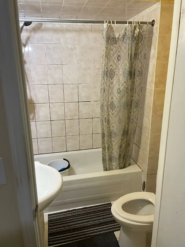 One-Bedroom Private Basement Apartment with Separate Entrance - Photo 7