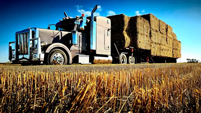 Needing 2 full time Class 1 Truck Drivers - Photo 2