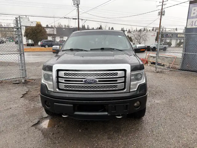 2013 Ford F-150 4WD SuperCrew 145'Platinum - Photo 3