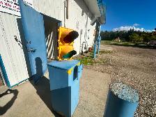 Fulltime Job Salaried with accommodation at CarWash