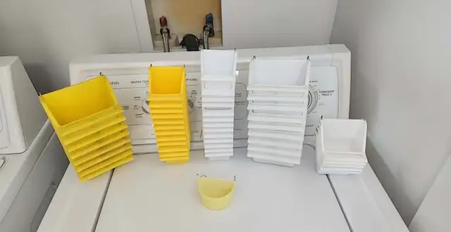 QUELQUES PINSONS ENCORE DE DISPONIBLE POUR ADOPTION À VENDRE - Photo 8