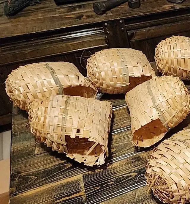 QUELQUES PINSONS ENCORE DE DISPONIBLE POUR ADOPTION À VENDRE - Photo 9