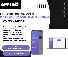Virtual Phone System $19.99
