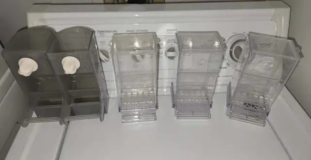 MAGNIFIQUE COUPLE DE PERRUCHES TURQUOISINE ET UNE FEMELLE - Photo 9