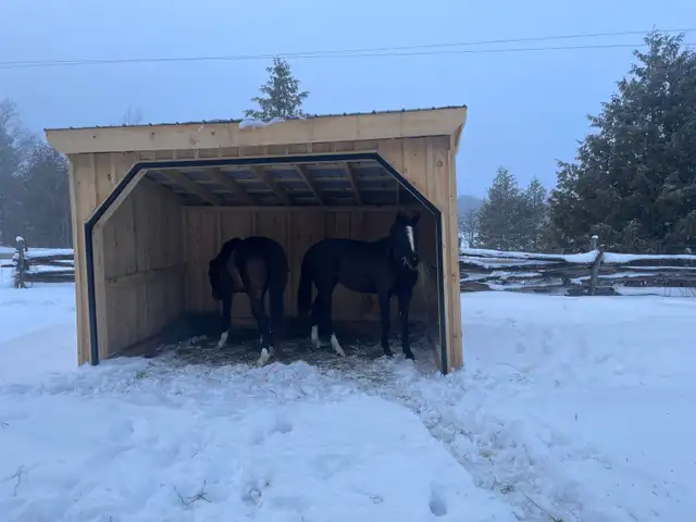 INDOOR OR DIY ON HORSE HOBBY FARM - Photo 4