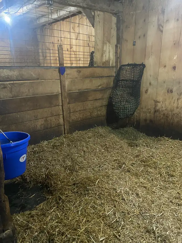 INDOOR OR DIY ON HORSE HOBBY FARM - Photo 8