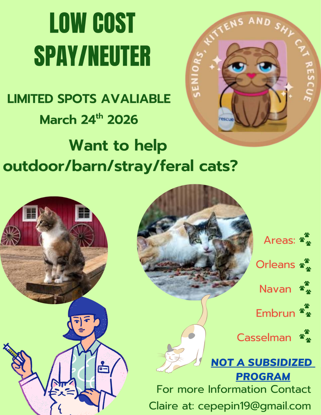 Spay/neuter yr cats at low cost