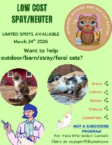 Spay/neuter yr cats at low cost