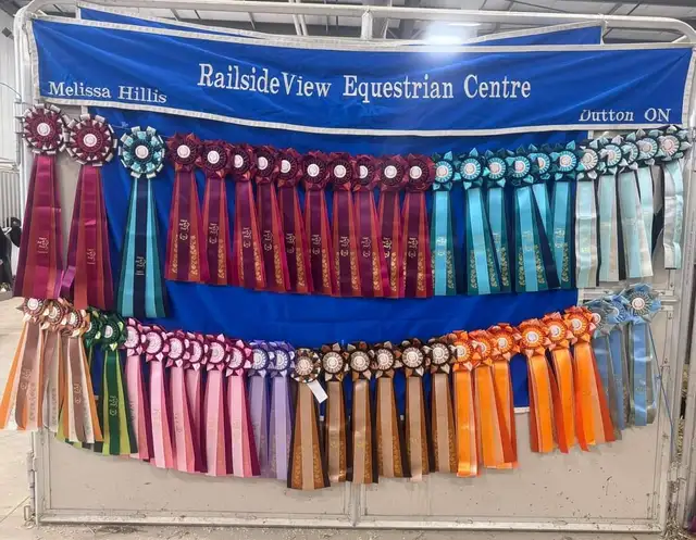 English Riding Lessons-Dutton, ON - Photo 2