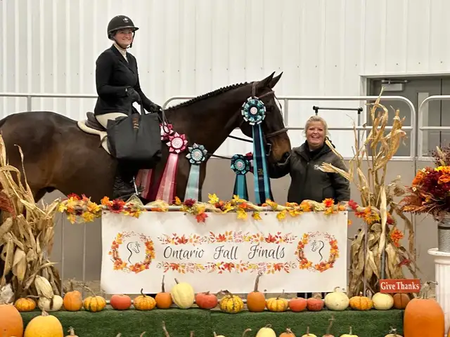 English Riding Lessons-Dutton, ON - Photo 3