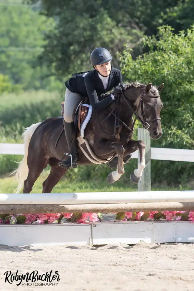 English Riding Lessons-Dutton, ON - Photo 5