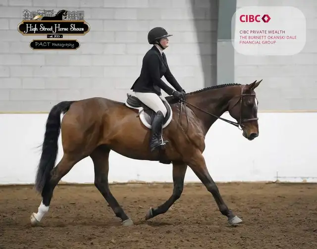 English Riding Lessons-Dutton, ON - Photo 6